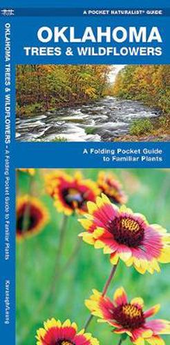Cover image for Oklahoma Trees & Wildflowers: A Folding Pocket Guide to Familiar Species