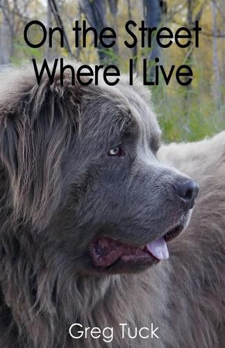 Cover image for On the Street Where I Live