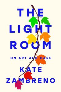Cover image for The Light Room