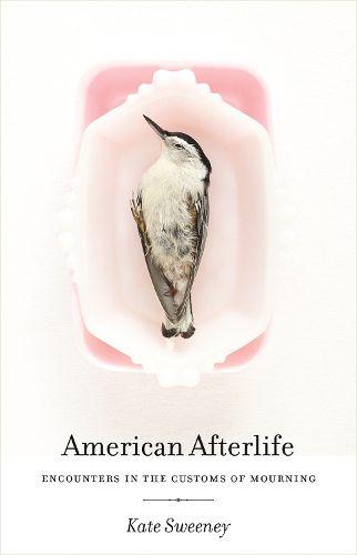 Cover image for American Afterlife: Encounters in the Customs of Mourning