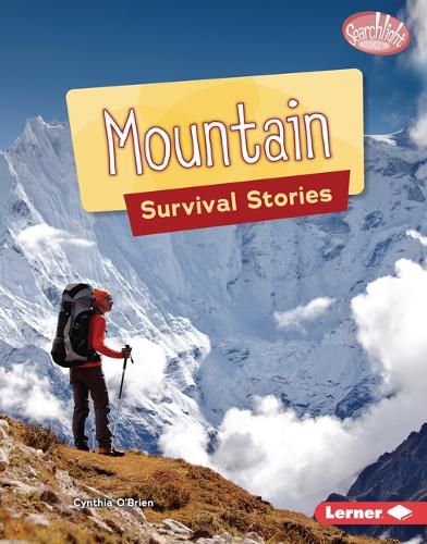 Cover image for Mountain Survival Stories
