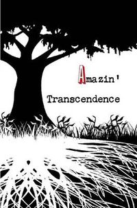 Cover image for Amazin' Transcendence