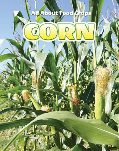 Cover image for Corn