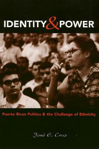 Cover image for Identity And Power: Puerto Rican Politics and the Challenge of Ethnicity