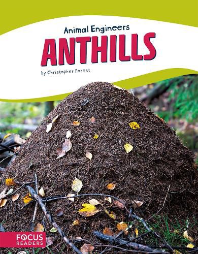 Cover image for Animal Engineers: Anthills