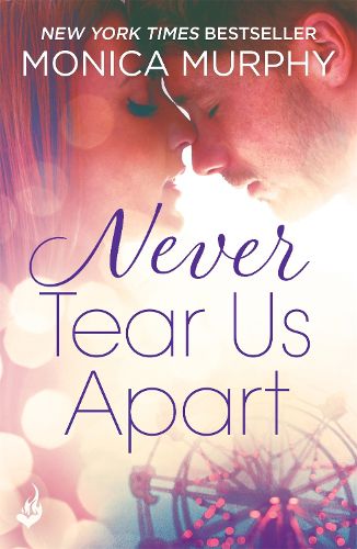 Cover image for Never Tear Us Apart: Never Series 1