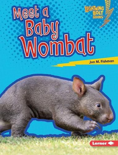 Wombat