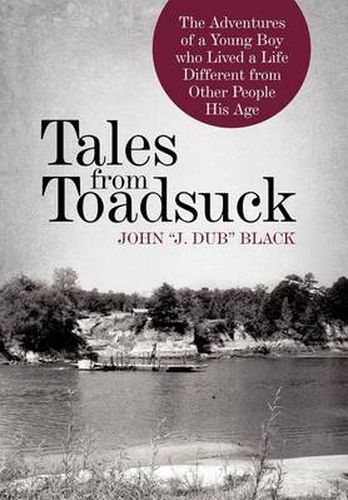 Cover image for Tales from Toadsuck