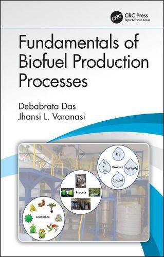 Cover image for Fundamentals of Biofuel Production Processes