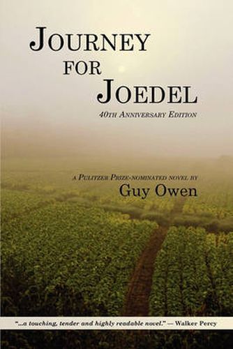 Cover image for Journey for Joedel