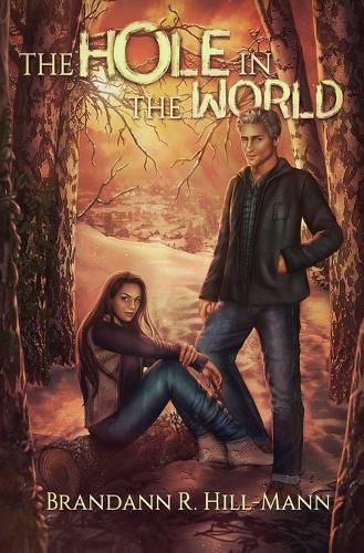 Cover image for The Hole in the World