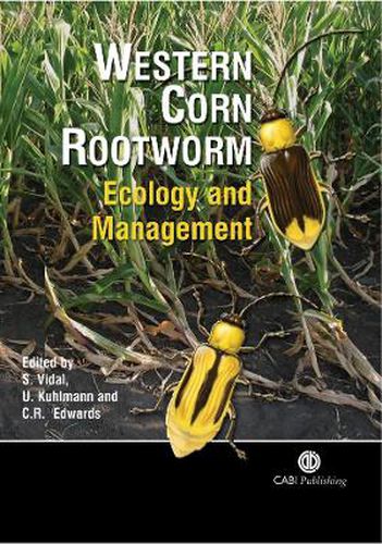 Cover image for Western Corn Rootworm: Ecology and Management