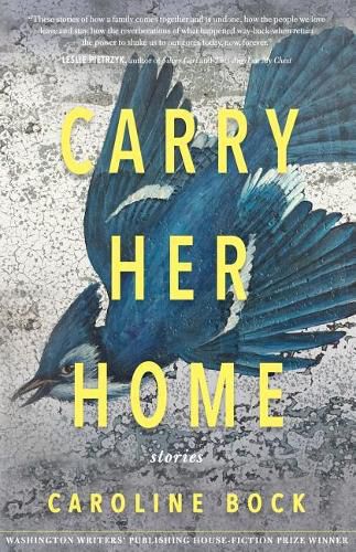 Cover image for Carry Her Home: Stories