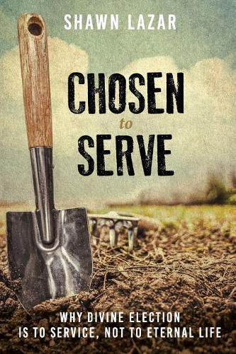 Cover image for Chosen to Serve: Why Divine Election Is to Service, Not to Eternal Life