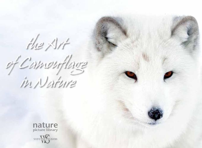 Cover image for Hidden in Nature: Art of  Animal Camouflage