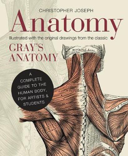 Cover image for Anatomy: A Complete Guide to the Human Body, for Artists & Students