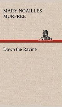 Cover image for Down the Ravine