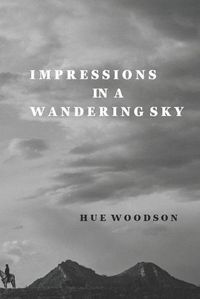 Cover image for Impressions in a Wandering Sky