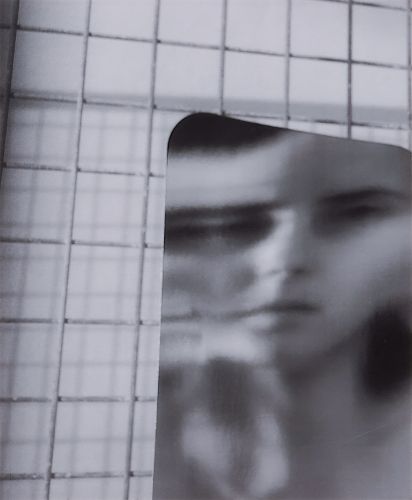 Cover image for Dynasty