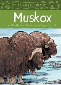 Cover image for Animals Illustrated: Muskox