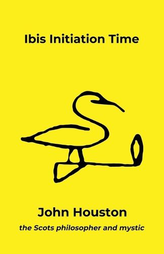 Cover image for Ibis Initiation Time