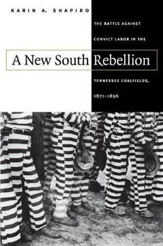 Cover image for A New South Rebellion: The Battle against Convict Labor in the Tennessee Coalfields, 1871-1896
