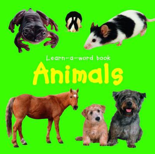 Cover image for Learn-a-word Book: Animals