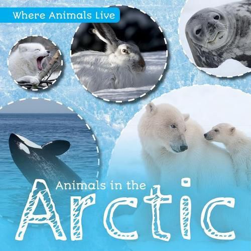 Cover image for Animals in the Arctic