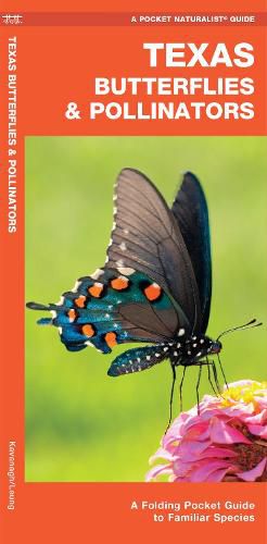 Cover image for Texas Butterflies & Pollinators: A Folding Pocket Guide to Familiar Species