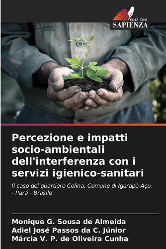 Cover image for Percezione e impatti socio-ambientali dell'interferenza con i servizi igienico-sanitari