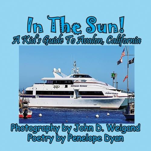 Cover image for In The Sun! A Kid's Guide To Avalon