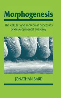 Cover image for Morphogenesis: The Cellular and Molecular Processes of Developmental Anatomy