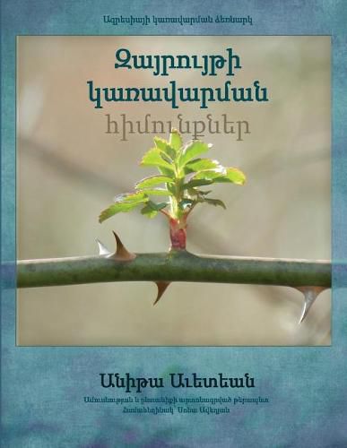 Cover image for Anger Management Essentials in Armenian