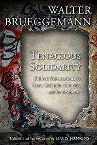 Cover image for Tenacious Solidarity: Biblical Provocations on Race, Religion, Climate, and the Economy