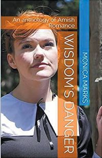 Cover image for Wisdom's Danger