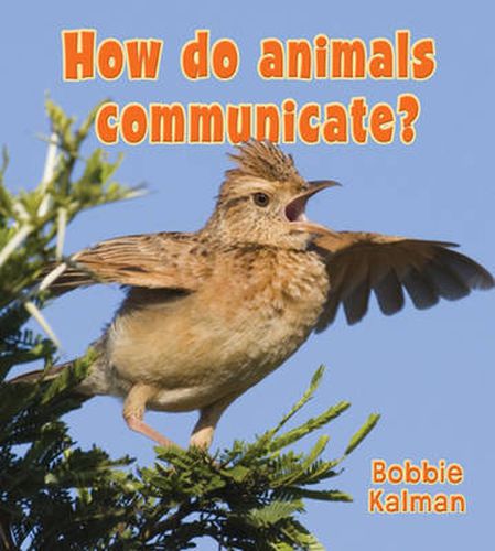 Cover image for How Do Animals Communicate