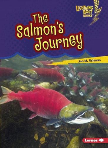 The Salmon's Journey