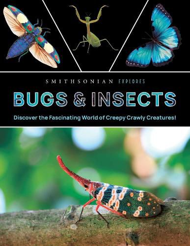 Cover image for Smithsonian Explores: Bugs and Insects