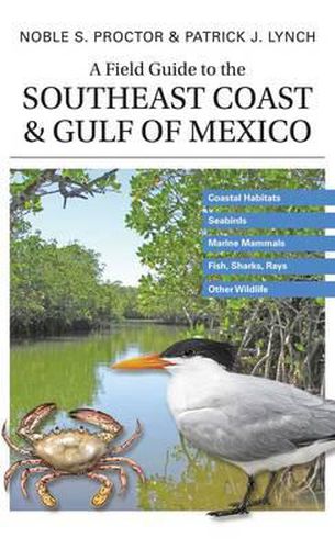 Cover image for A Field Guide to the Southeast Coast & Gulf of Mexico: Coastal Habitats, Seabirds, Marine Mammals, Fish, & Other Wildlife