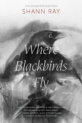 Cover image for Where Blackbirds Fly