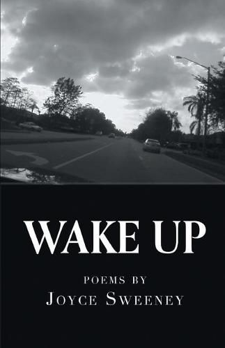 Cover image for Wake Up