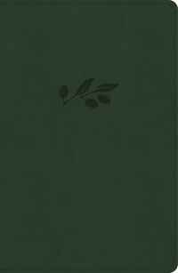 Cover image for CSB Personal Size Giant Print Bible, Olive Leathertouch