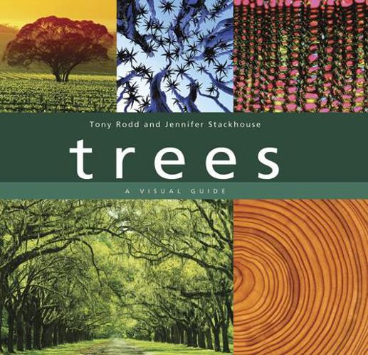 Cover image for Trees: A Visual Guide