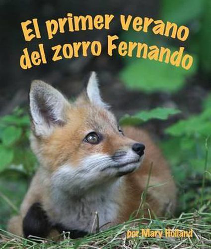 Cover image for El Primer Verano del Zorro Fernando (Ferdinand Fox's First Summer)