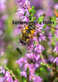 Cover image for Summoner's Tales