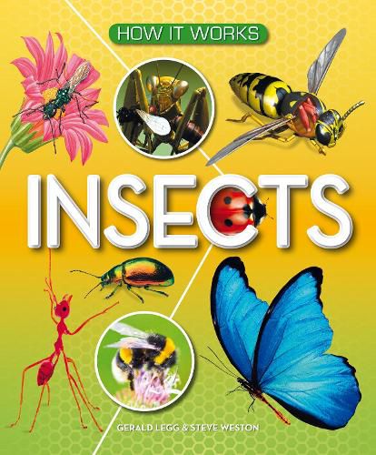 Cover image for How It Works: Insects