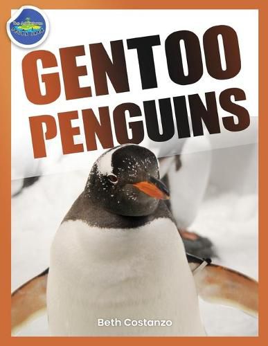 Cover image for Gentoo Penguins activity workbook ages 4-8