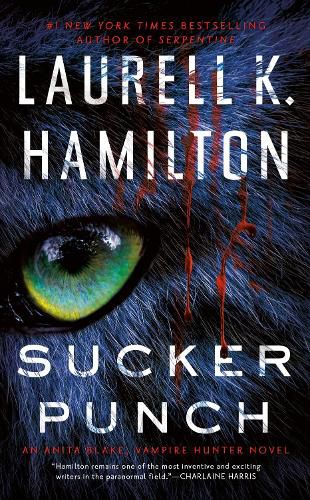Cover image for Sucker Punch