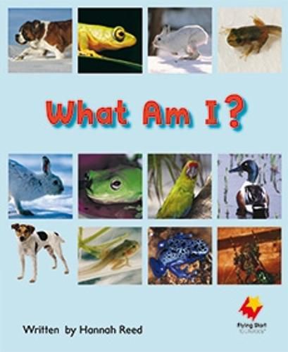 Cover image for What Am I?