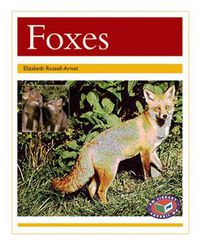 Cover image for Foxes